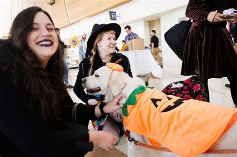 Photos:  A furry, tail wagging Halloween parade welcomes travelers at San Jose Mineta International Airport
