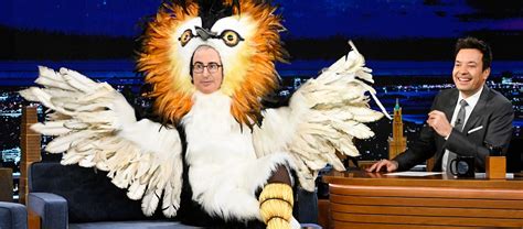 Photos: John Oliver's campaign for puking mullet bird delays New Zealand vote