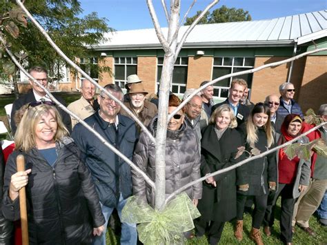 Photos: Rotary tree planting marks anniversary Windsor Star