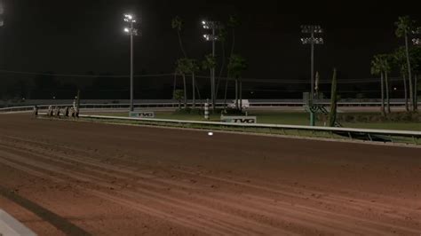 Photos for Los Alamitos Race Course Yelp