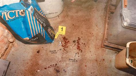 Photos from murdaugh crime scene. In tearful testimony last week, Mr. Murdaugh admitted that he had lied, saying he had feared that acknowledging he was at the crime scene immediately before the murders would lead the police to ... 
