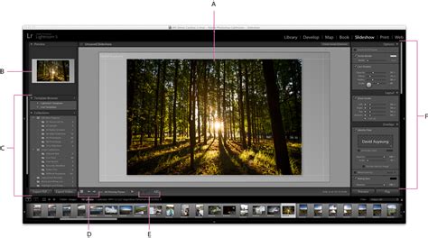 Photoshop and Lightroom expert to modify photos and create slides