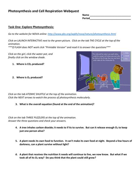 Photosynthesis And Cellular Respiration Webquest