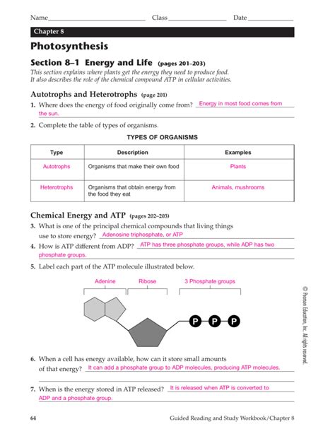 Photosynthesis Answer 8 Key Chapter