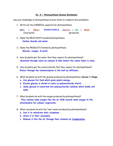 Photosynthesis Answer 9 Key Chapter