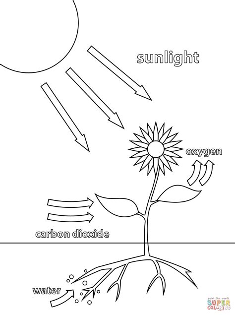 Coloring Pages Titanic