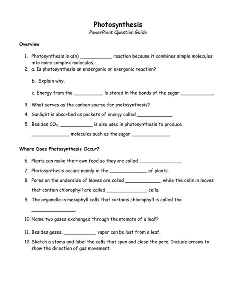 Photosynthesis Question Guide Powerpoint