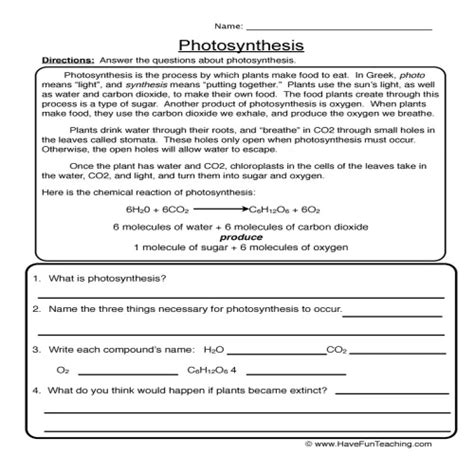 Photosynthesis Reading Worksheet by Teach Simple