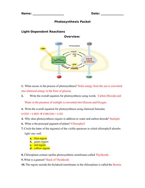 Photosynthesis Worksheet answers Name______________________ Date