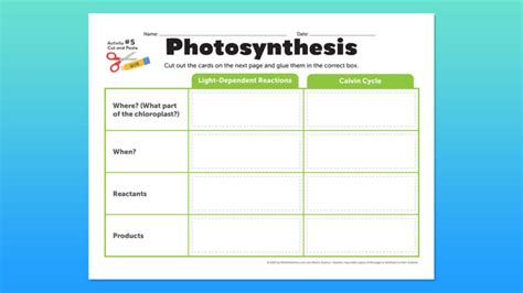 Photosynthesis activity middle school.  By incorporating hands-on experiments, ...