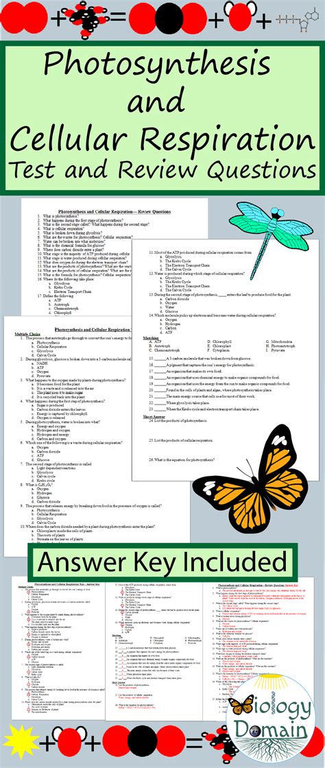 Photosynthesis cellular respiration study guide answers. - Caterpillar d4g xl repair manual price.