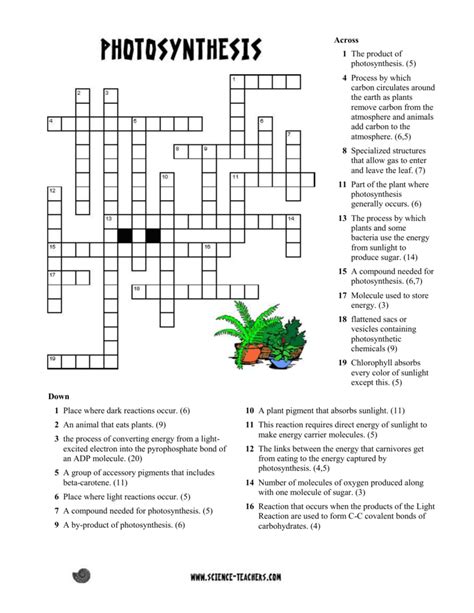 Photosynthesis crossword puzzle answer key rhythm rhyme results. - Lost planet 3 official strategy guide official strategy guides bradygames.