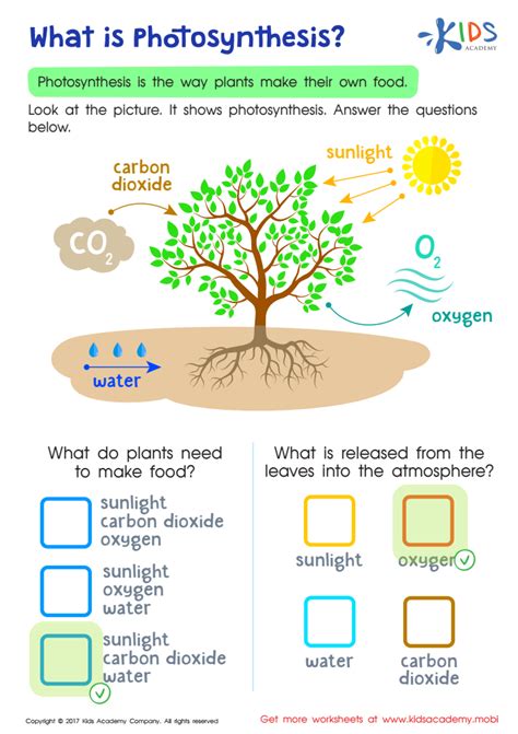 Photosynthesis pdf grade 9