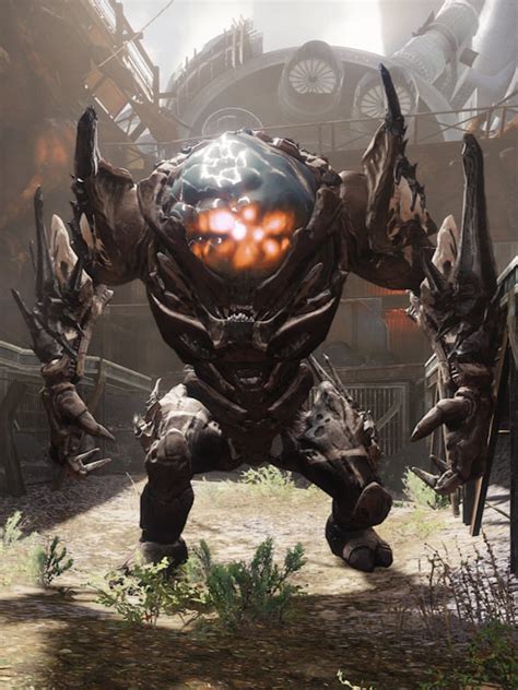 Scorn Blaster. Abilities: Summon Scorn. High Durability. Rapid Movement. Solar Absorption Shield. Solar Ether Totem. Scorn Melee. Vilzii, Scorn Chieftain was a Scorn Chieftain found at the end of the Kingship Dock Lost Sector in the Tangled Shore.. 