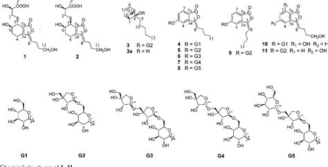 Phthalide derivatives from Ligusticum chuanxiong - Royal …