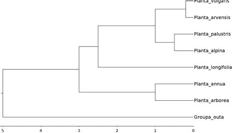 PhyloBotanist Types of tree diagrams
