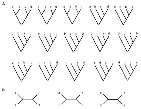 Phylogenetic Inference --MEGA manual