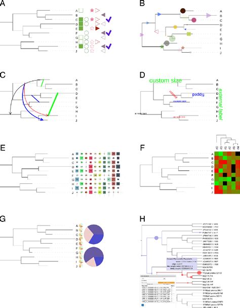 Phylogenetic tree tool "Interactive Tree Of Life (iTOL)" that can be ...