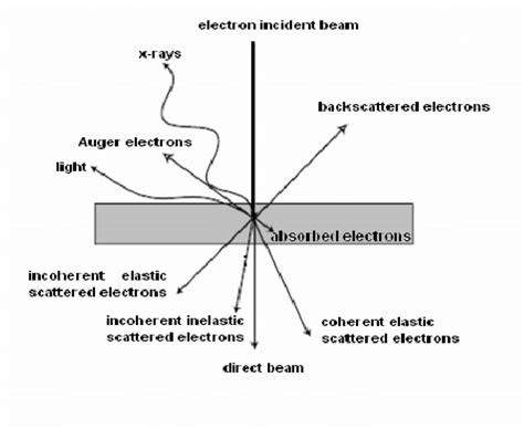 Phys. Rev. B 77, 235410 (2008) - Electron-electron interactions in ...