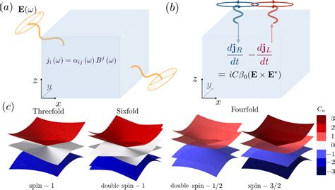 Phys. Rev. B 98, 155145 (2024) - Chiral optical response of multifold ...