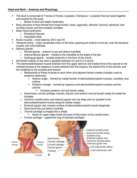 Physical Assessment Of Head And Neck - ProProfs Quiz