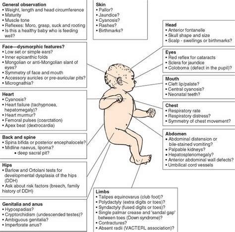 Physical Examination of the Newborn Pediatrics MSD Manual