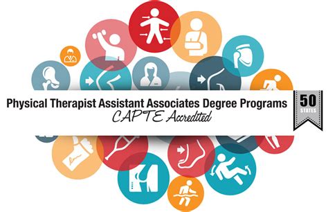 Physical Therapy Program University of New England in Maine