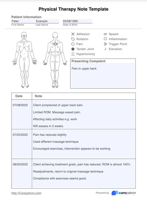 Physical Therapy Progress Notes Template For Your Needs