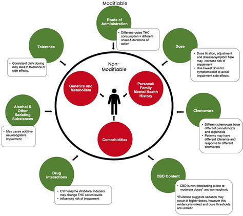 Physician Impairment and Drug Screening DEVELOPMENT