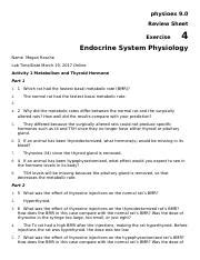 Physioex Endocrine System Physiology Answers Review Section