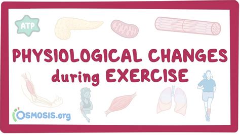 Physiological Changes During Exercise