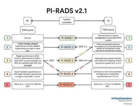 Pi-RADS Score: A Comprehensive Breakdown of Prostate MRI. 