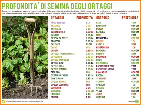 Piantagione di accompagnatori guida di piantagione di accompagnatori per ortaggi bacche erbe e fiori. - Handbook of phytoalexin metabolism and action books in soils plants and the environment.