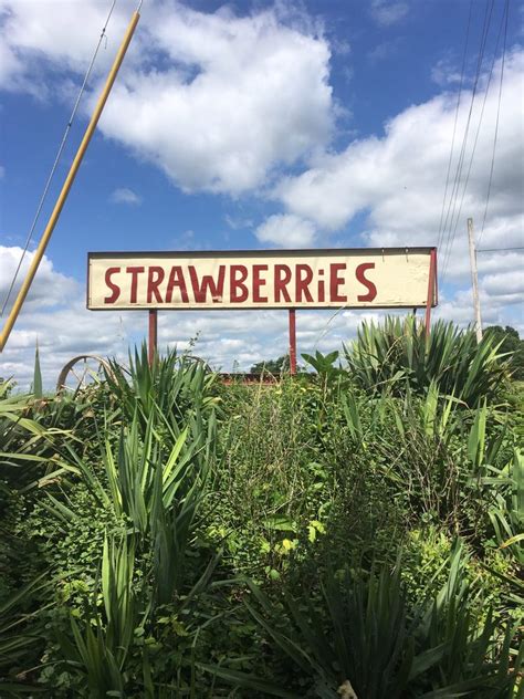 Pick your own farms near Shelbyville, KY PickYourOwn.farm