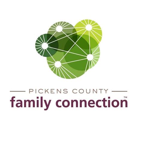 Pickens County Family Connection Jasper GA