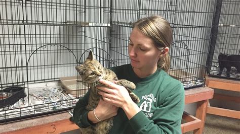 Pickens county animal shelter. Things To Know About Pickens county animal shelter. 