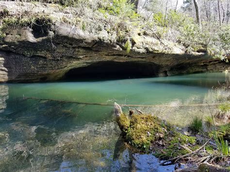 Pickett state park. Things To Know About Pickett state park. 