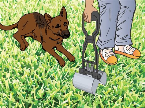 Picking up dog poop. Then, pick up as much of the poop as if you can. If it's runny or your dog had diarrhea, Peters says you can use paper towels. But be careful not to push the … 