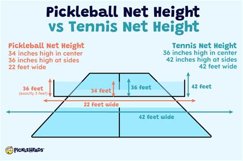 Pickleball Net Height: How to Measure and Adjust