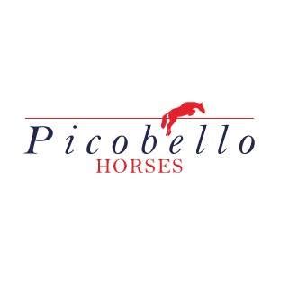 Picobellohorses Hooglede - Facebook