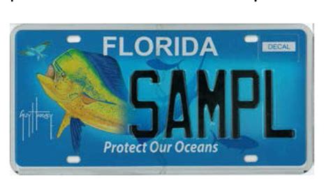 Pictures: Florida specialty license plates – Orlando …