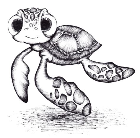 Pictures Of Turtles Drawings