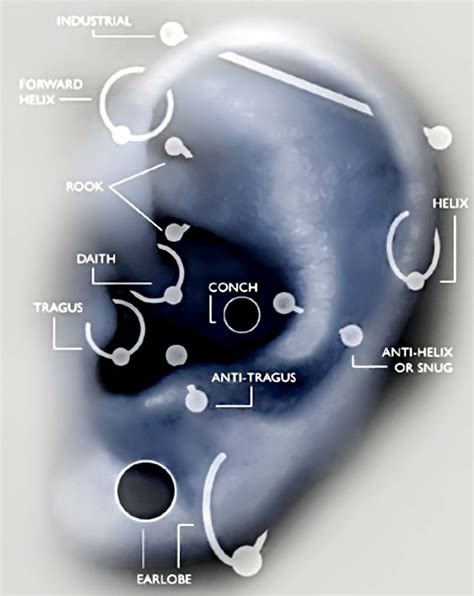 Our definitive ear piercings guide will tell you everything you need to know about all the different names, placements, procedure, jewellery types, healing times, aftercare, which ones are the most painful, and much …. 