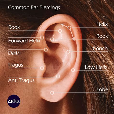 Piercing name. It has a similar placement to the helix piercing, the only thing that is different is that it involves two piercings, hence its name “double helix piercing”. Advertisement. The double forward helix piercing is done on the inner cartilage of the upper ear. It involves two piercings, which is why it is called the “double … 