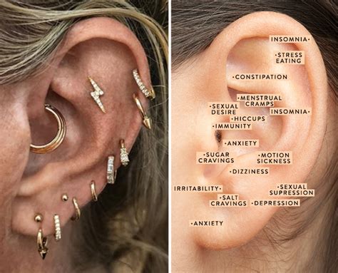 Piercing places. The cost for piercing depends on the body part you're getting pierced and the jewelry you select: Nose piercing costs $35 to $70 + the cost of jewelry.; Ear piercing costs $40 to $75 + the cost of jewelry for both ears. Some piercing shops charge $20 to $35 for each earlobe for clients who only want one ear pierced.; Belly button / navel piercing costs … 