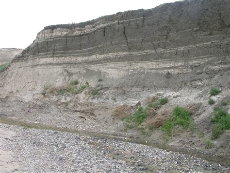 Fig. 3--A fresh exposure of lower Pierre-upper Niobrara lithology at location A. The bentonite beds marking the basal Pierre can be seen near the center of the picture. At least 24 separate bentonite beds are exposed in the Pierre Shale from the center to the top of the picture.. 