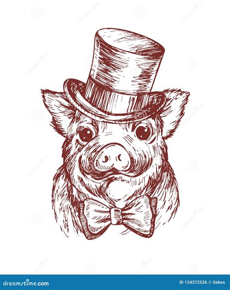 Pig Bow Tie Drawing