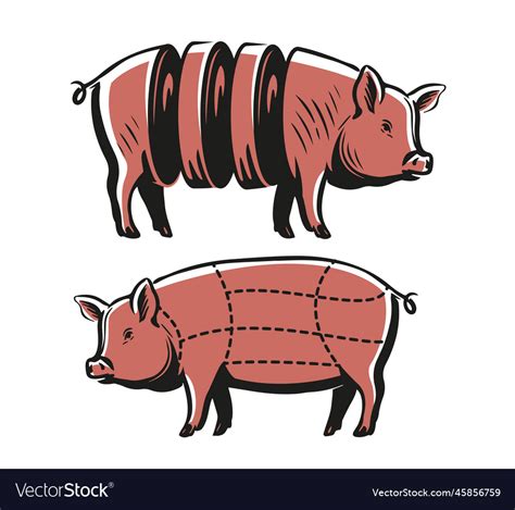 Pig Carving Diagram