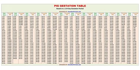 Pig Gestation Calculator and Chart