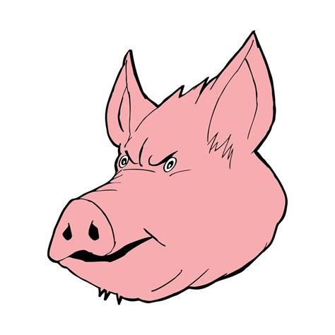Pig Head Drawing